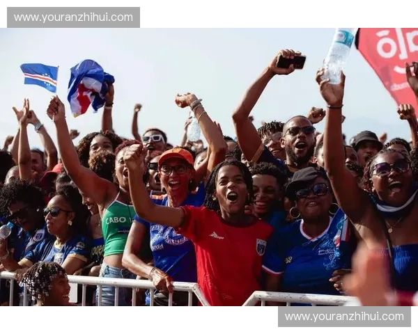 深入探析世界杯非洲区参赛名额变化及其影响因素研究趋势与前景洞察